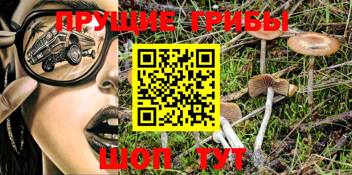 Галлюциногенные грибы MAGIC MUSHROOMS  сколько стоит  Вход с VPN  Вичуга  Галлюциногенные грибы Psilocybine cubensis 